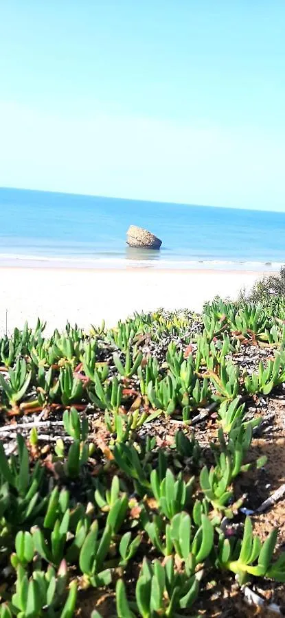 Apartment Caracola Beach Matalascanas Spain